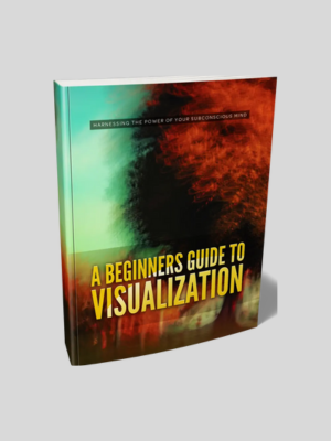 A Beginners Guide To Visualization